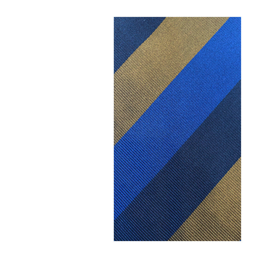 GIANMARCO VENTURI Cravatta in Seta Pura