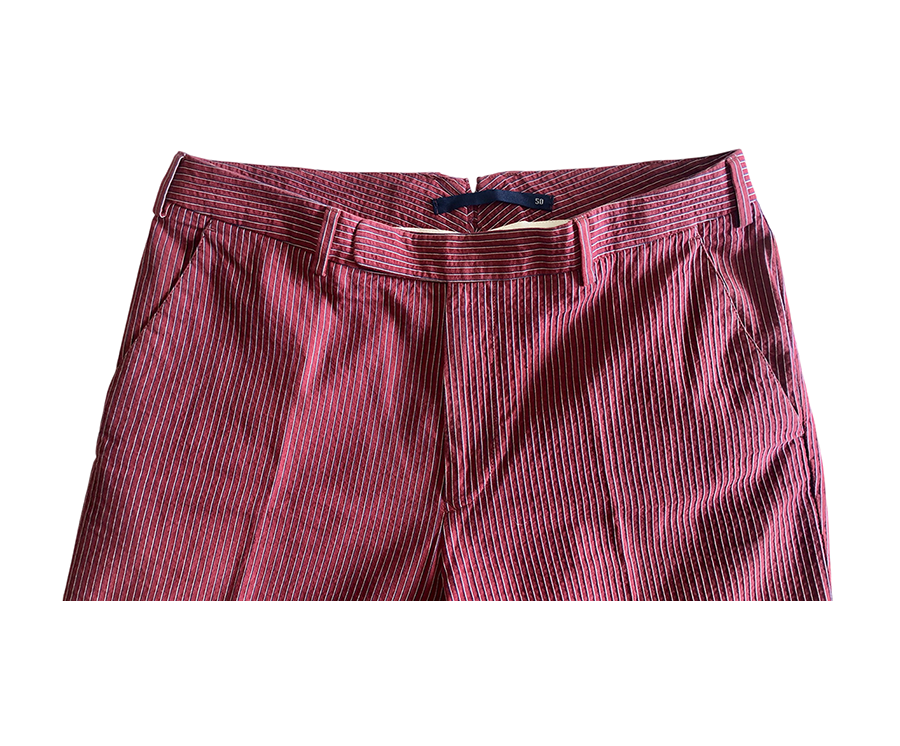 INCOTEX Pants in Cotone