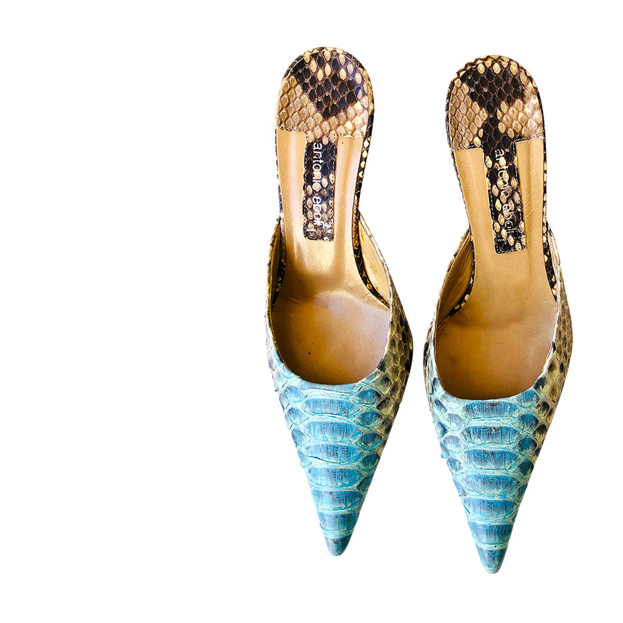 ANTONIO EBOLI Sabot in Rettile