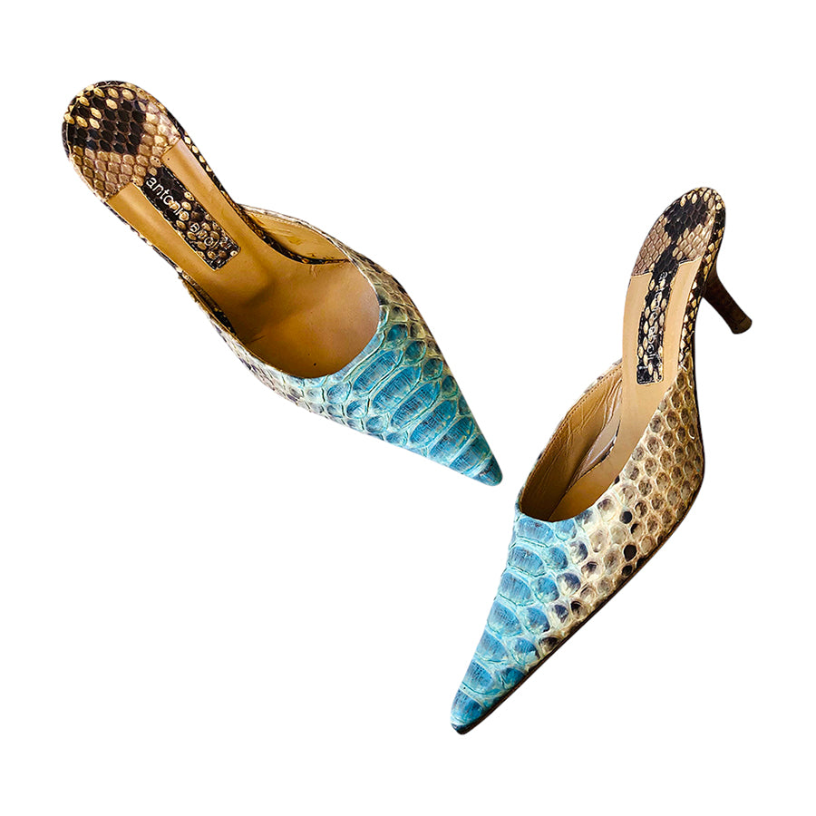 ANTONIO EBOLI Sabot in Rettile