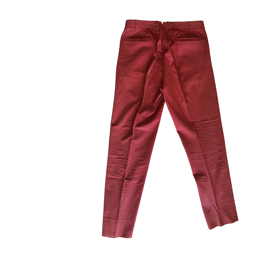 INCOTEX Pants in Cotone