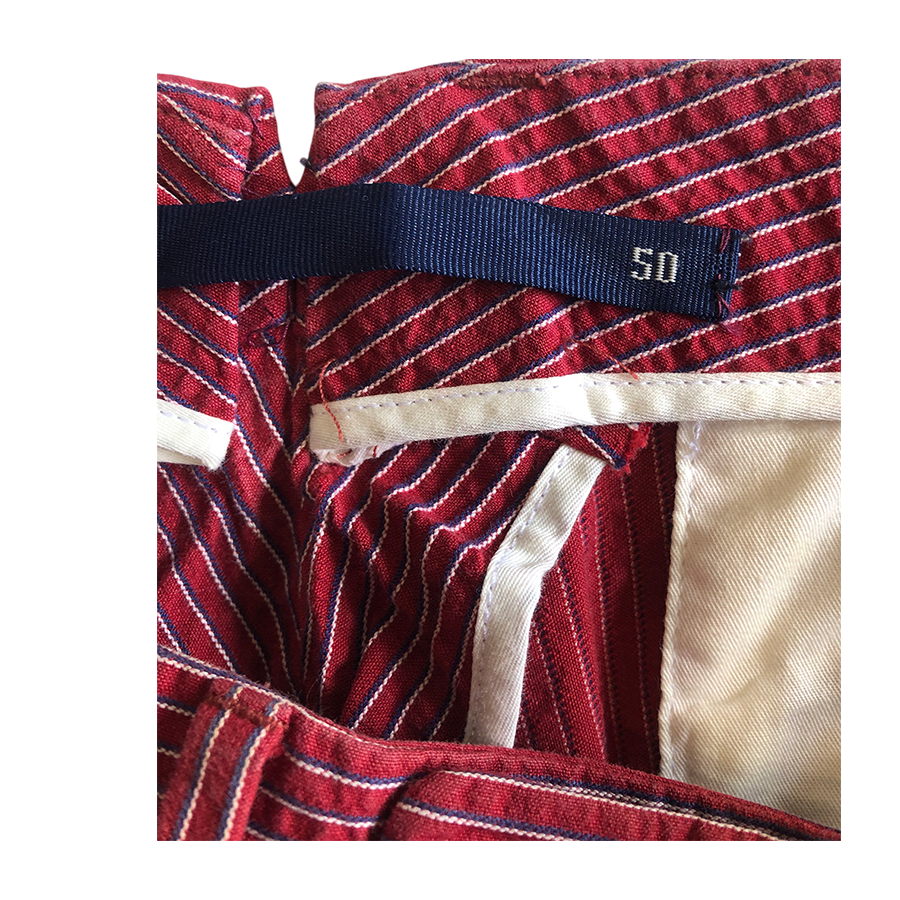 INCOTEX Pants in Cotone